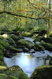 A quiet river flows through an autumnal