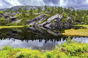 Quiet small lake next to the road