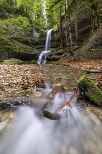 A quiet stream flows over small waterfalls through a forest with stones and tree trunks