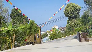 Quiet street scene with prayer flags and lush vegetation on a sunny day