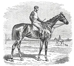 Racehorse, Historical, digitally restored reproduction from an 18th century original
