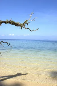 Radhanagar beach, Andaman Islands