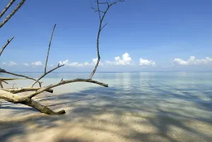 Radhanagar beach, Havelock Islands