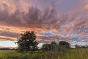 A radiant sunset conjures up vibrant colours across the sky above a grassy field