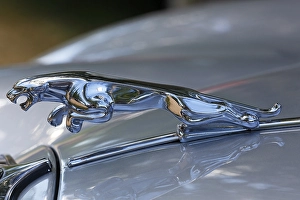 Radiator figure Jaguar on the bonnet Jaguar 3