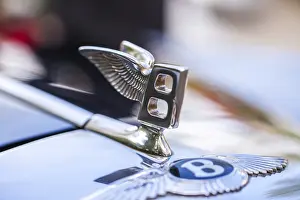 Radiator figure letter b with wings on a Bentley