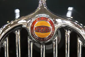 Radiator grille with logo of the Jaguar XK 140