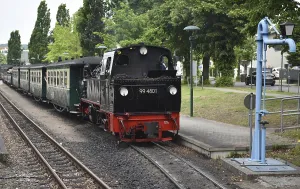 The Raging Roland, narrow-gauge railway