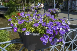 Railing with flower boxes by the river Lippe