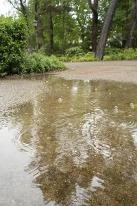 Rain puddle, rainwater, Ostseeallee