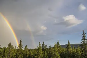 Rainbow over boreal coniferous forest