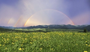Rainbow over a landscape with a meadow and mountains