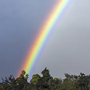 Rainbow, multicoloured circular arc