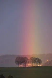 Rainbow touches a group of trees