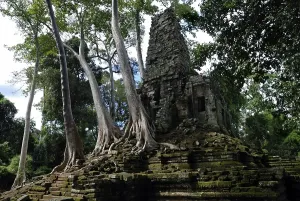 Category Buddhism Prints: Rainforest growing over the ruins of Preah Paliliay tempel in the ancient city Angkor Thom
