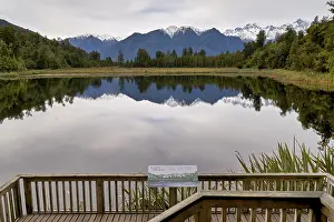 The rainforest at Lake Matheson