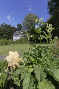 Raised bed with windmill, Luitpoldshohe Castle