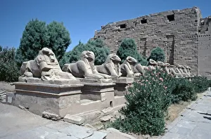 Ram Sphinx Avenue, Karnak Temple