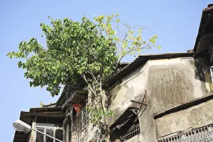Rani mass urban housing building at V