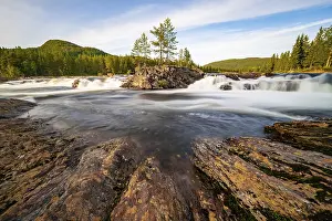 Rapids in the river Namsen, coniferous forest