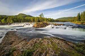 Rapids in the river Namsen, coniferous forest