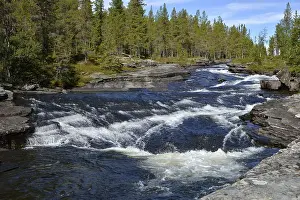 Rapids in River Roevran, Ljungdalen