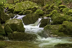 Rapids in a rushing creek, Herisson