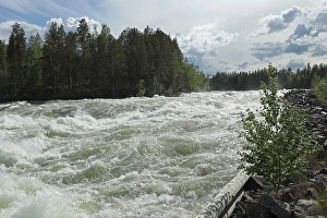 Category Scandinavia Prints: Rapids Storforsen in the River Piteaelven