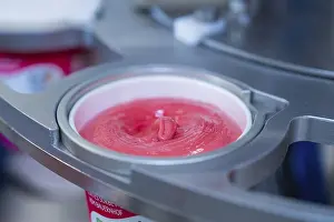 Category Historic EN Prints: Raspberry ice cream in a cup during the filling process