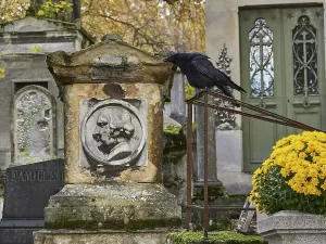 A raven in front of a tomb, Pere Lachaise Cemetery Paris