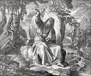 Ravens Feed Elijah, Old Testament