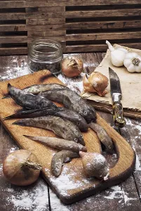 Raw fish breed perciformes called bull on background attributes kitchen before cooking