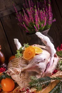 Raw goose in marinade