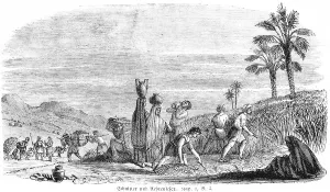 Reapers and Harvesters, agriculture