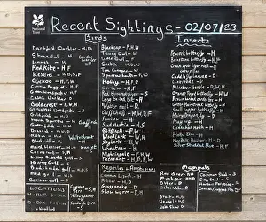 Recent bird and wildlife sightings litsed on blackboard