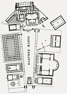 Reconstruction, plan of the Roman Forum or Forum Romanum in ancient Rome