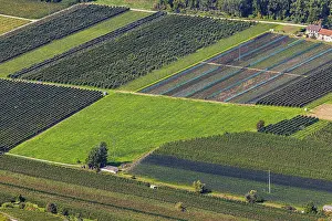 Rectangular fields, Calais, view from Vercorin