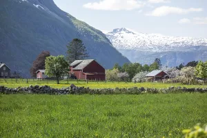 Red barn on a green meadow in front of snow-covered mountains and blossoming trees