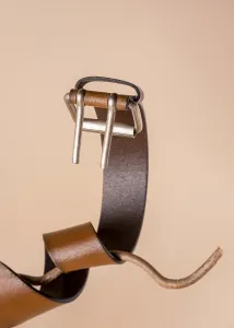 A red belt wrapped around a branch like a snake