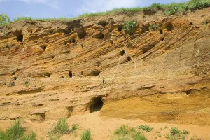 Red crag rock exposed at Buckanay Pit quarry