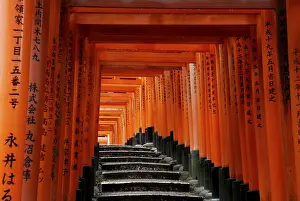 Red Gates, Torii Gates, Avenue of Torii