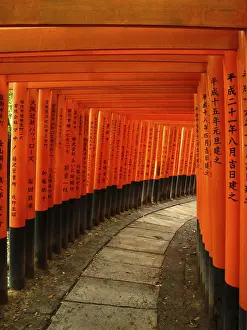 Red Gates, Torii Gates, Avenue of Torii