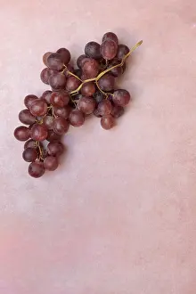 Red grapes on a pink background