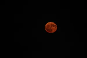 Red full moon in the black night sky