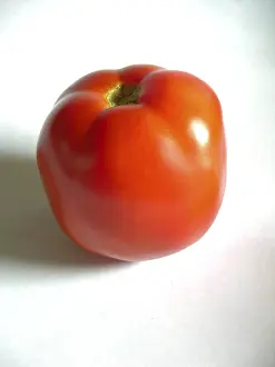 One red round circular tomato vegetable food in studio on white background
