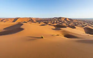 Red sand dunes in the desert, dune landscape Erg Chebbi