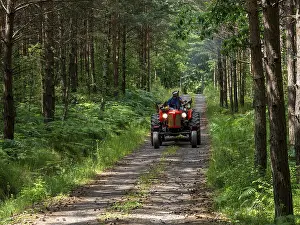 Red tractor on forest road, pine forest
