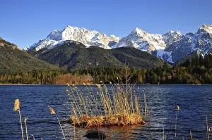 Reed island in the Barmsee lake in Upper Bavaria