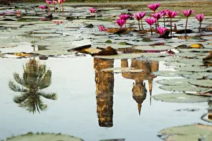 Reflection of a Buddha statue in a pond with Red Water Lilies (Nymphaea rubra)