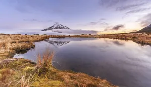 Category Mountain Landscapes Prints: Reflection in Pouakai Tarn lake
